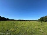 260 Mitchell Chapel Road - Photo 6