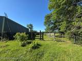 260 Mitchell Chapel Road - Photo 8