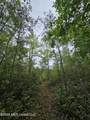 222 Lavelle Odom Road - Photo 9