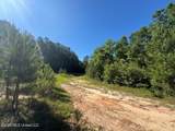  Hwy 43 - Photo 2