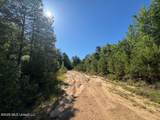  Hwy 43 - Photo 3