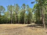 0 Mcnair Springs Road - Photo 10
