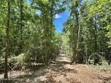 0 Mcnair Springs Road - Photo 13