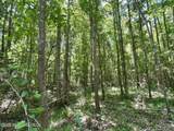 0 Mcnair Springs Road - Photo 14