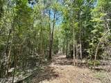 0 Mcnair Springs Road - Photo 15