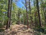 0 Mcnair Springs Road - Photo 17
