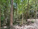 0 Mcnair Springs Road - Photo 19