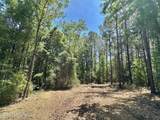 0 Mcnair Springs Road - Photo 3