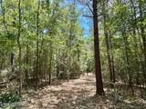 0 Mcnair Springs Road - Photo 4