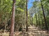0 Mcnair Springs Road - Photo 5