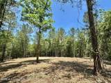 0 Mcnair Springs Road - Photo 8