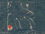 40 Acres Forestry Road 356 - Photo 1