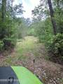 40 Acres Forestry Road 356 - Photo 11