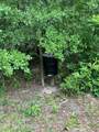 40 Acres Forestry Road 356 - Photo 2