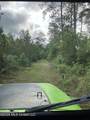 40 Acres Forestry Road 356 - Photo 35