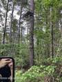 40 Acres Forestry Road 356 - Photo 36