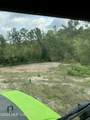 40 Acres Forestry Road 356 - Photo 40