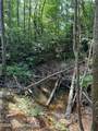 40 Acres Forestry Road 356 - Photo 45