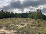 40 Acres Forestry Road 356 - Photo 46
