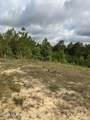 40 Acres Forestry Road 356 - Photo 47