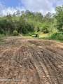 40 Acres Forestry Road 356 - Photo 49