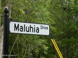 6415 Maluhia Drive - Photo 3