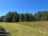 221ac Skyline Road - Photo 3