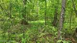 0 Snake Creek Road - Photo 3