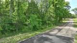 0 Snake Creek Road - Photo 5
