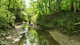 0 Snake Creek Road - Photo 6
