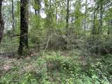 4155 Sterling Lane - Photo 17