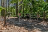 202 Powell Chapel Road - Photo 44