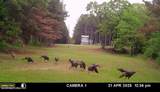 202 Powell Chapel Road - Photo 48