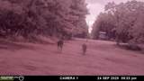 202 Powell Chapel Road - Photo 52