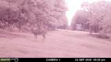 202 Powell Chapel Road - Photo 53