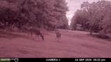 202 Powell Chapel Road - Photo 55