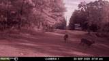 202 Powell Chapel Road - Photo 56