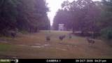 202 Powell Chapel Road - Photo 58