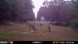 202 Powell Chapel Road - Photo 60