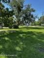 3298 Race Track Road - Photo 5