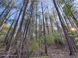  Sand Hill Road - Photo 11