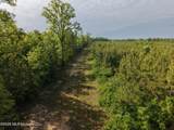  Old 46 Highway - Photo 11