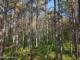  Old 46 Highway - Photo 12