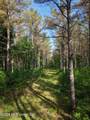  Old 46 Highway - Photo 14