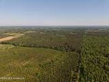  Old 46 Highway - Photo 2