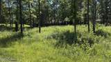204 Dogwood Drive - Photo 2