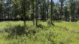 204 Dogwood Drive - Photo 3