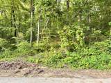 0 Snow Lake Drive - Photo 2