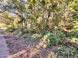 0 Snow Lake Drive - Photo 4
