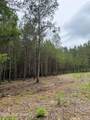 157 Walker Bottom Road - Photo 11